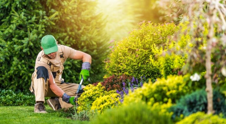 spring-summer-tree-care